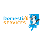 domestic-services